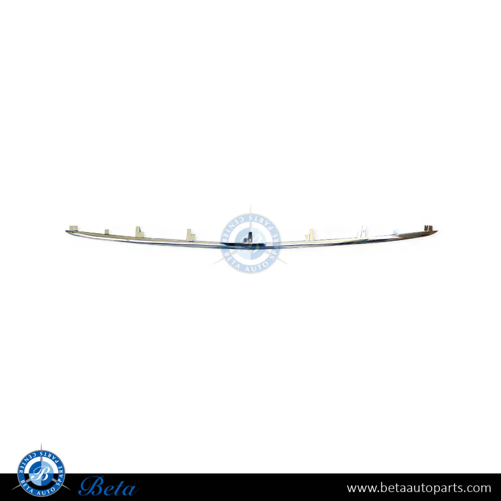 Mercedes S-Class W222 (2018-2020), Front Bumper Lower Moulding Maybach (Chrome) - Center, China, 2228851600
