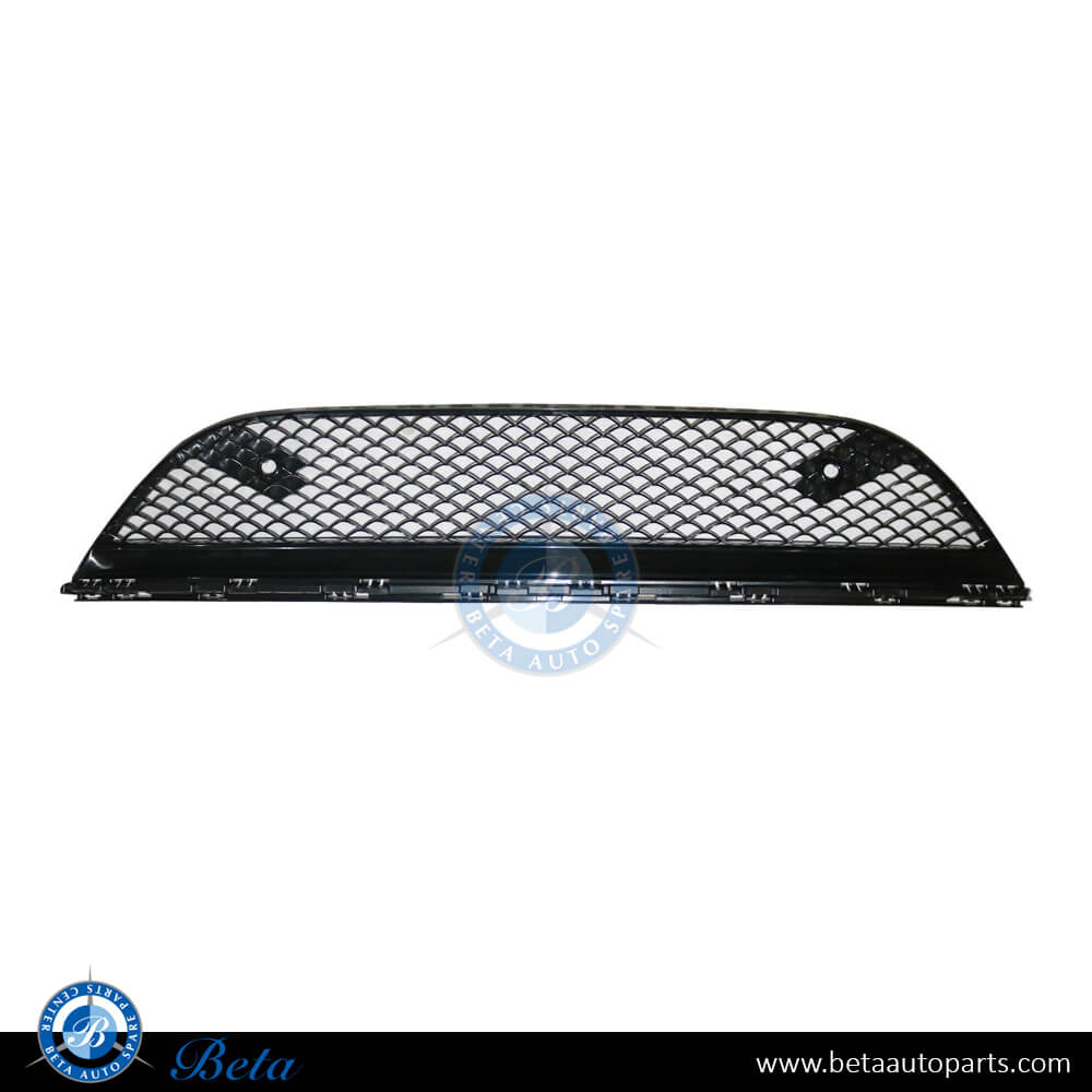 Mercedes S-Class W222 (2018-2020), Front Bumper Lower Grille Normal AMG (Center), China, 2228857100