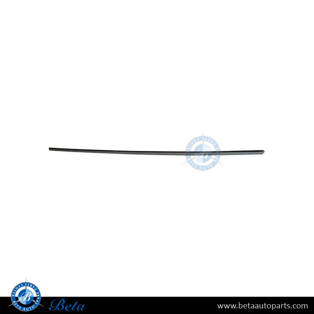 Mercedes S-Class W222 (2018-2020), Front Door Moulding - Chrome (Right), China, 2226908601