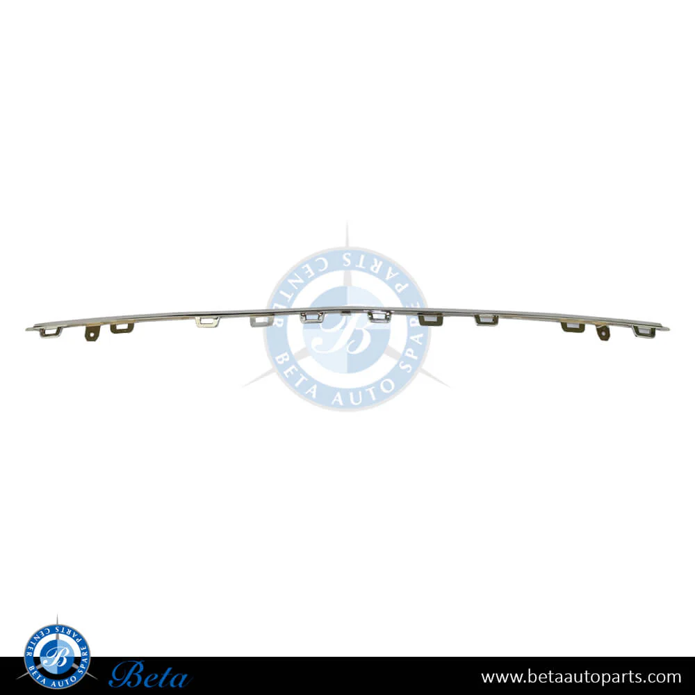 Mercedes S-Class W222 (2018-2020), Front Bumper Moulding AMG S63 S65 - Chrome (Center), Taiwan, 2228851001