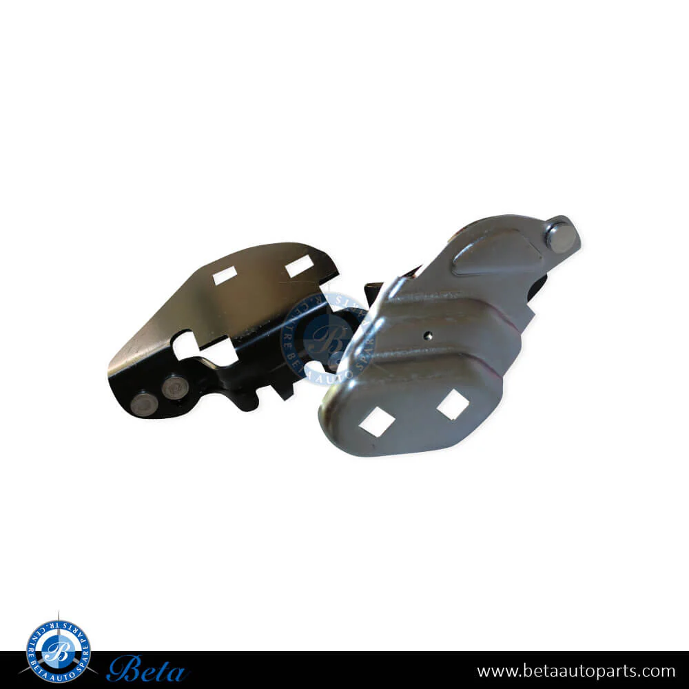 Tesla Model 3 (2021-2023), Hood Hinge (Left), China, 1643845-00-A
