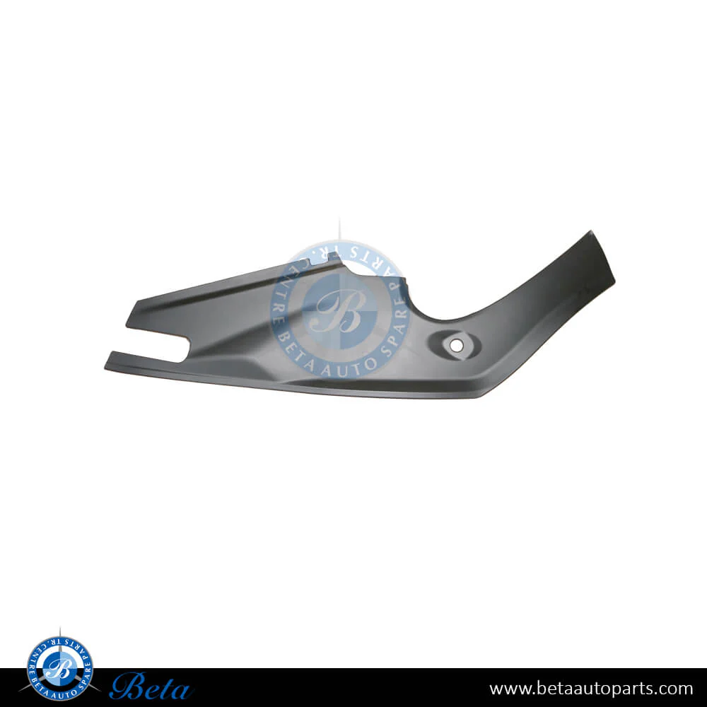Tesla Model S (2017-2021), Frunk Apron - USA Type (Right), China, 1060479-00-C / 1060479-00-B